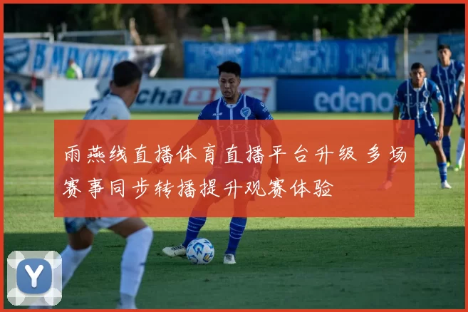 雨燕线直播体育直播平台升级 多场赛事同步转播提升观赛体验