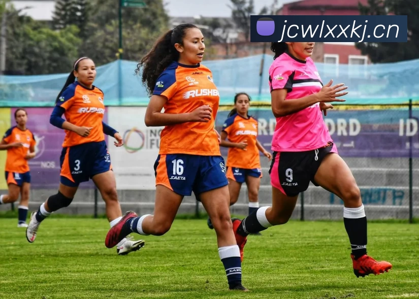 多媒体互动体验